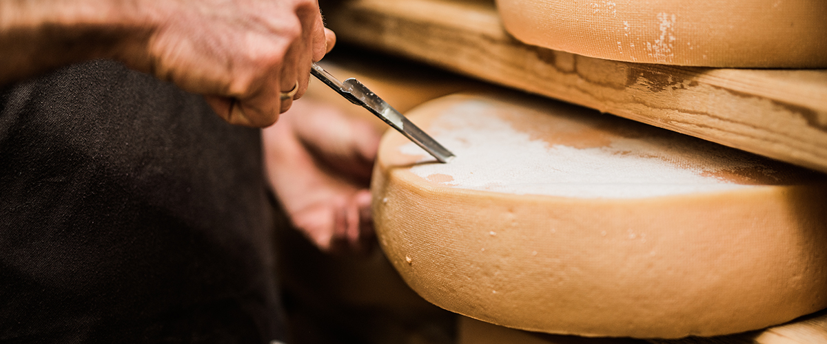 Gruyère