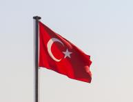 Vers une vague de cybersquatting en Turquie ?